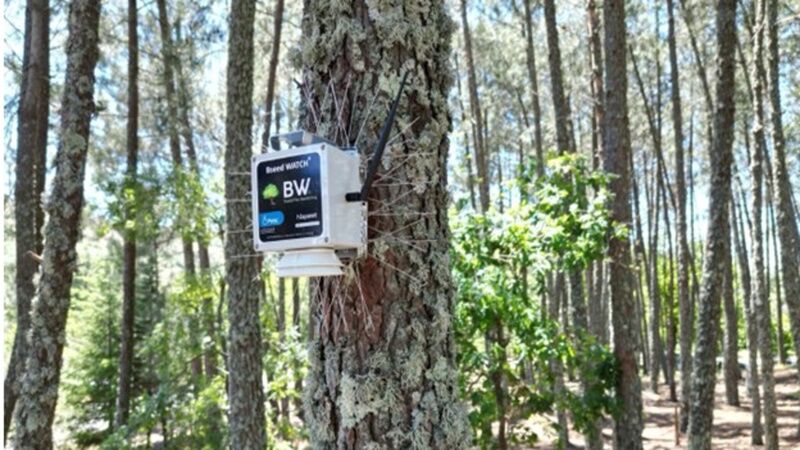 La tecnología satelital al servicio de la prevención y detección de incendios