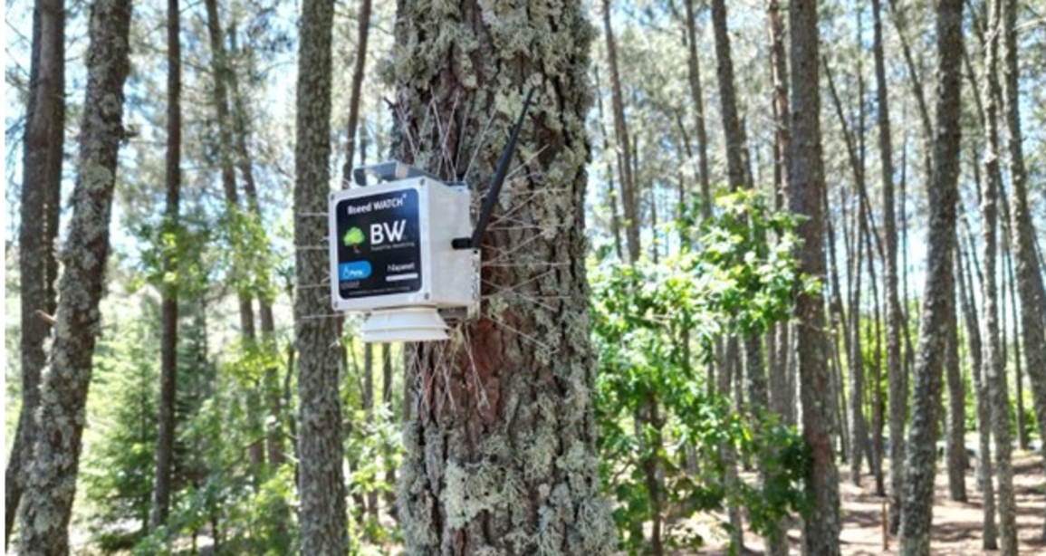 Satellite technology at the service of fire prevention and detection